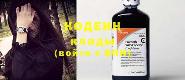 дурь Богородицк