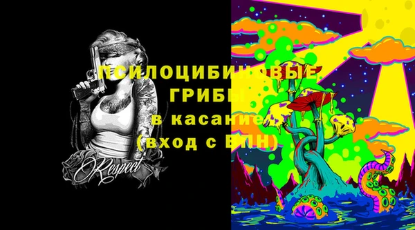 дурь Богородицк